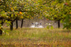 ABZ Innovation L30 Agriculture Drone Ready to Fly Kit