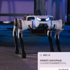 DEEP Robotics Lite Venture